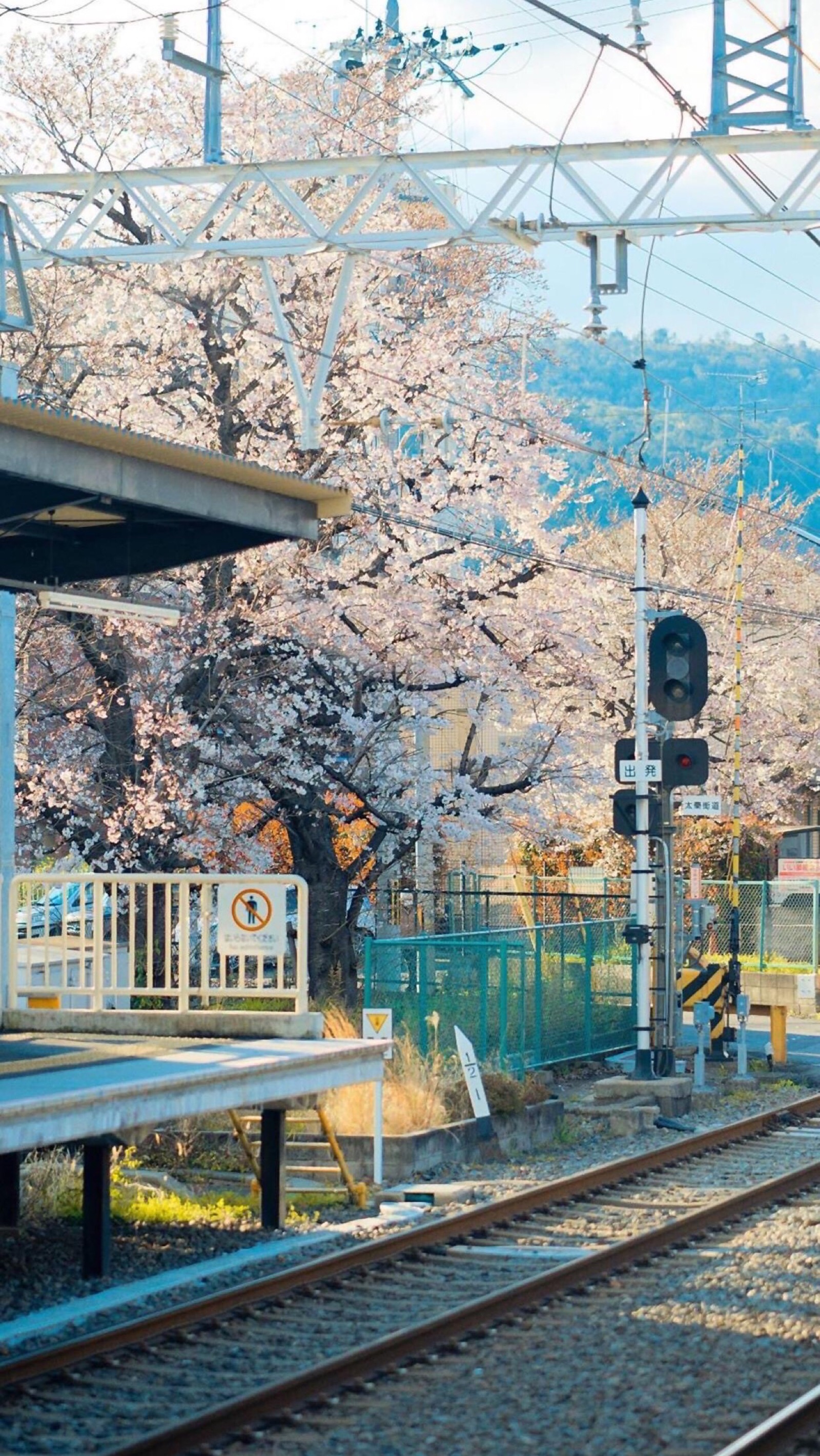 日本特色手机壁纸图片