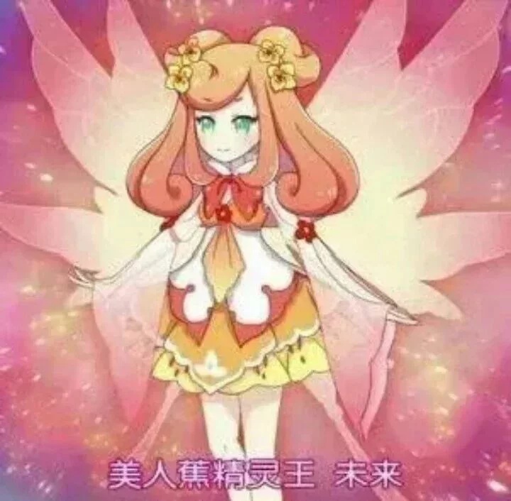 小花仙