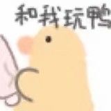 拒绝恋爱表情包