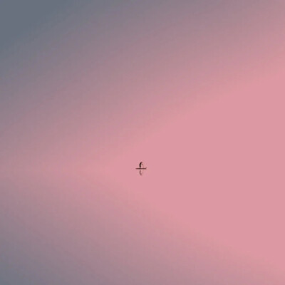 背景粉系