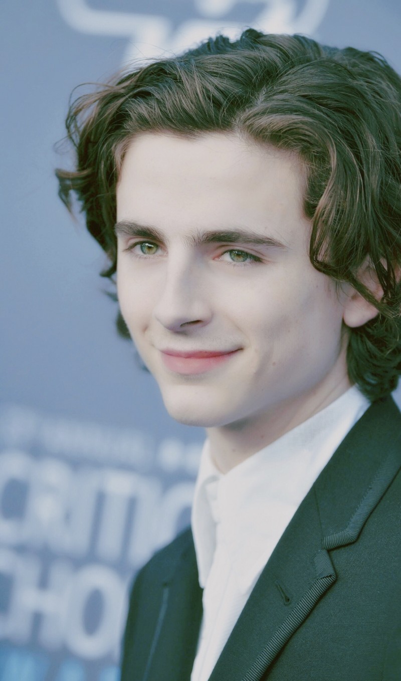 蒂莫西·柴勒梅德 timothée chalamet 甜茶