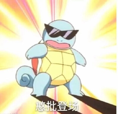 忽然登场表情包