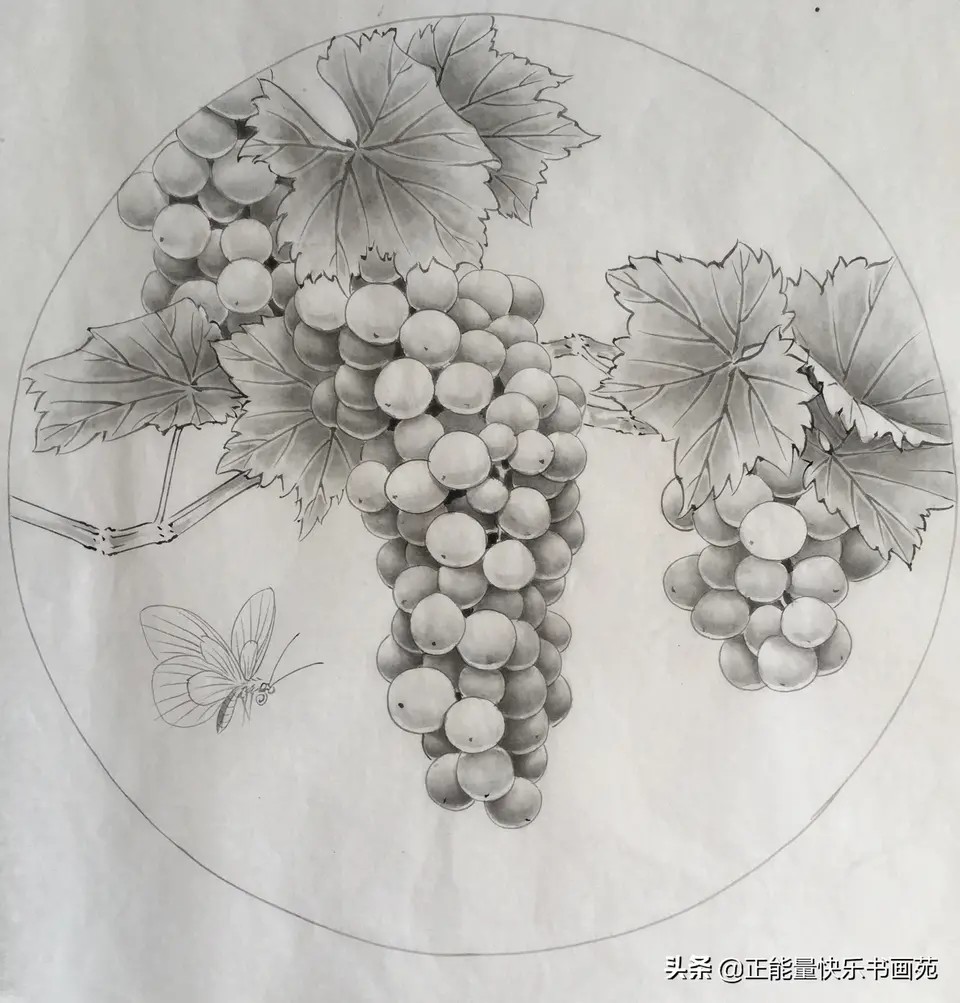 水粉葡萄画法步骤教程图片