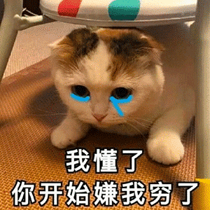 我懂了,你开始嫌弃我穷了