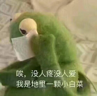唉,没人疼没人爱,我是地里一颗小白菜
