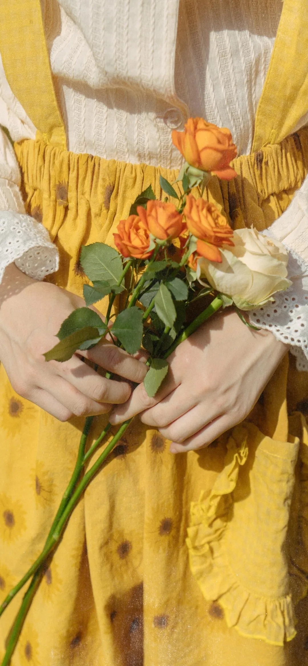 壁纸 朋友圈背景图