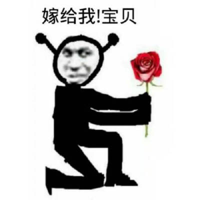 表情包,求婚