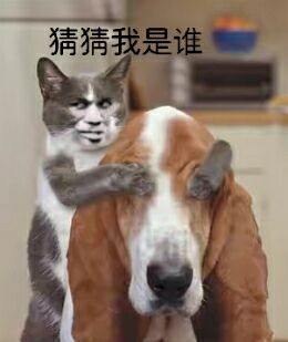 猜猜我是谁!