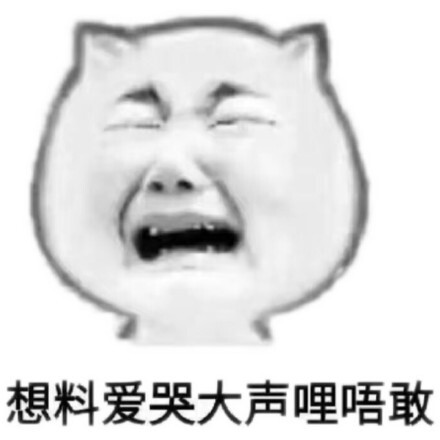 想料爱哭大声哩唔敢(猫脸)