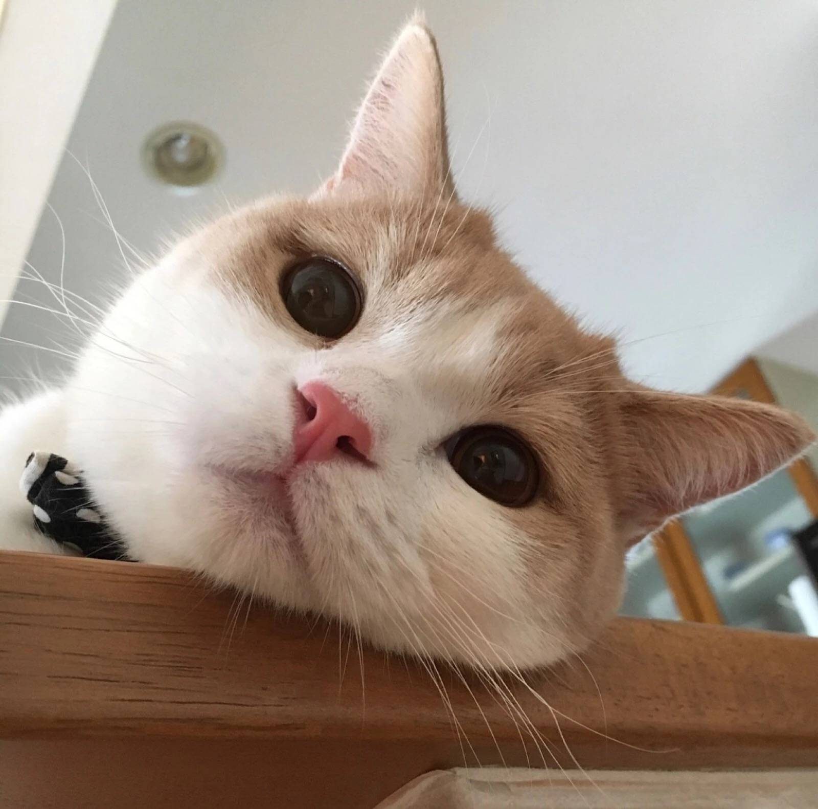 网图- 堆糖,美图壁纸兴趣社区