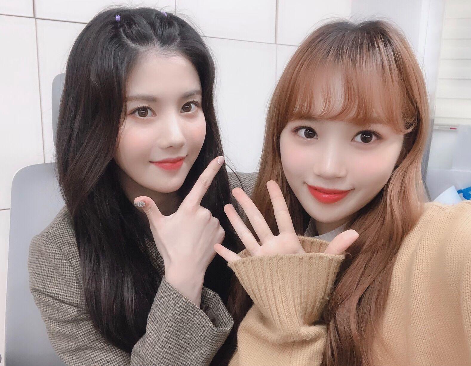 izone/权恩妃/权恩菲/eunbi/qeb/权姐/款恩比/权