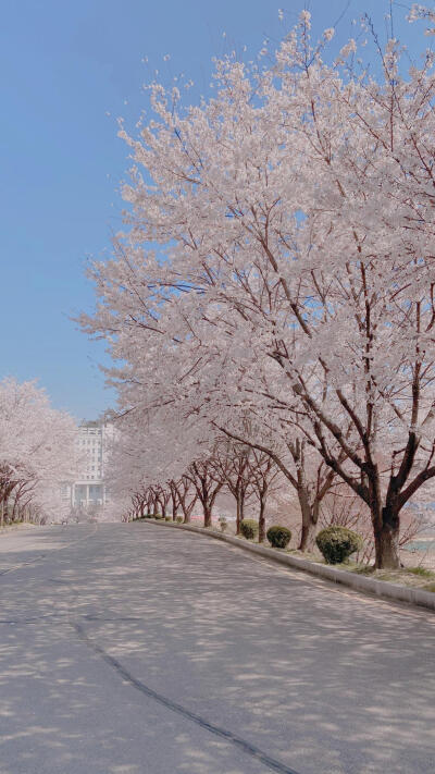 聊天记录背景图风景图片