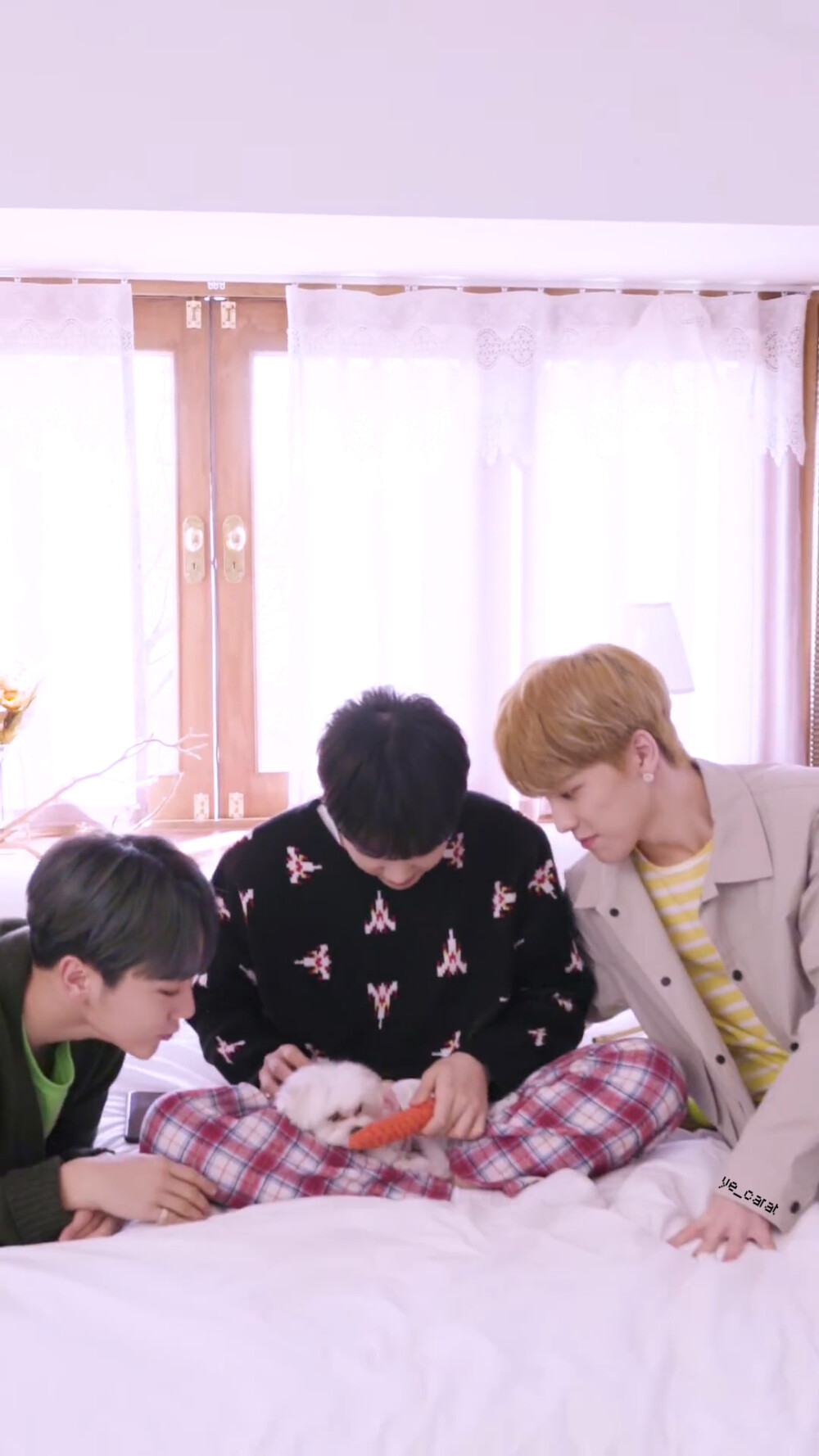 seventeen home特别版mv自截(自制壁纸,禁二改二传)