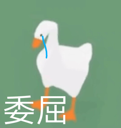 邵大鹅