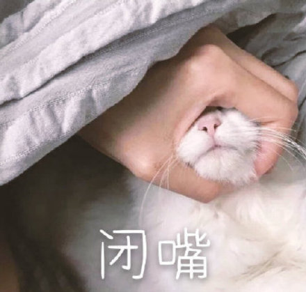 闭嘴捂嘴猫咪嘴巴