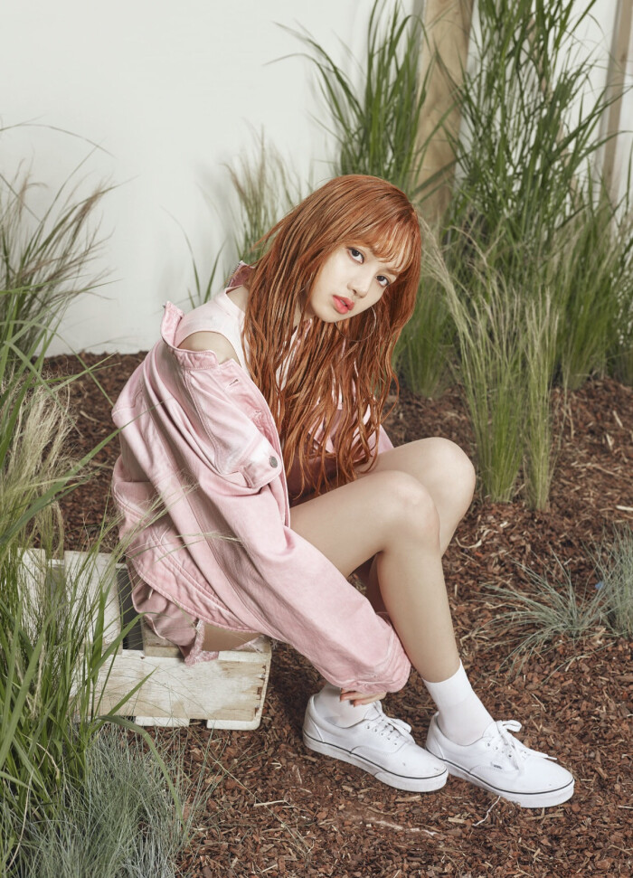 lisa and,black pink,来喽