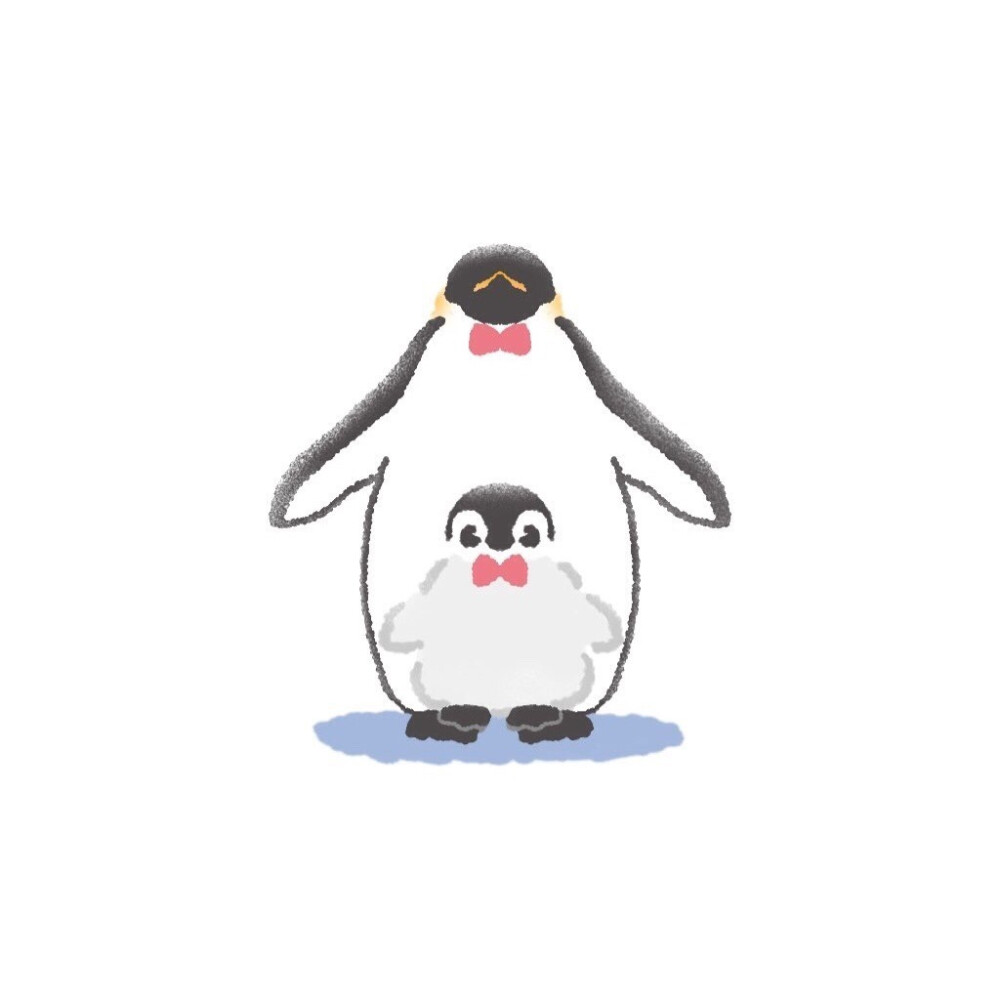 企鹅头像  画师 penguin architect