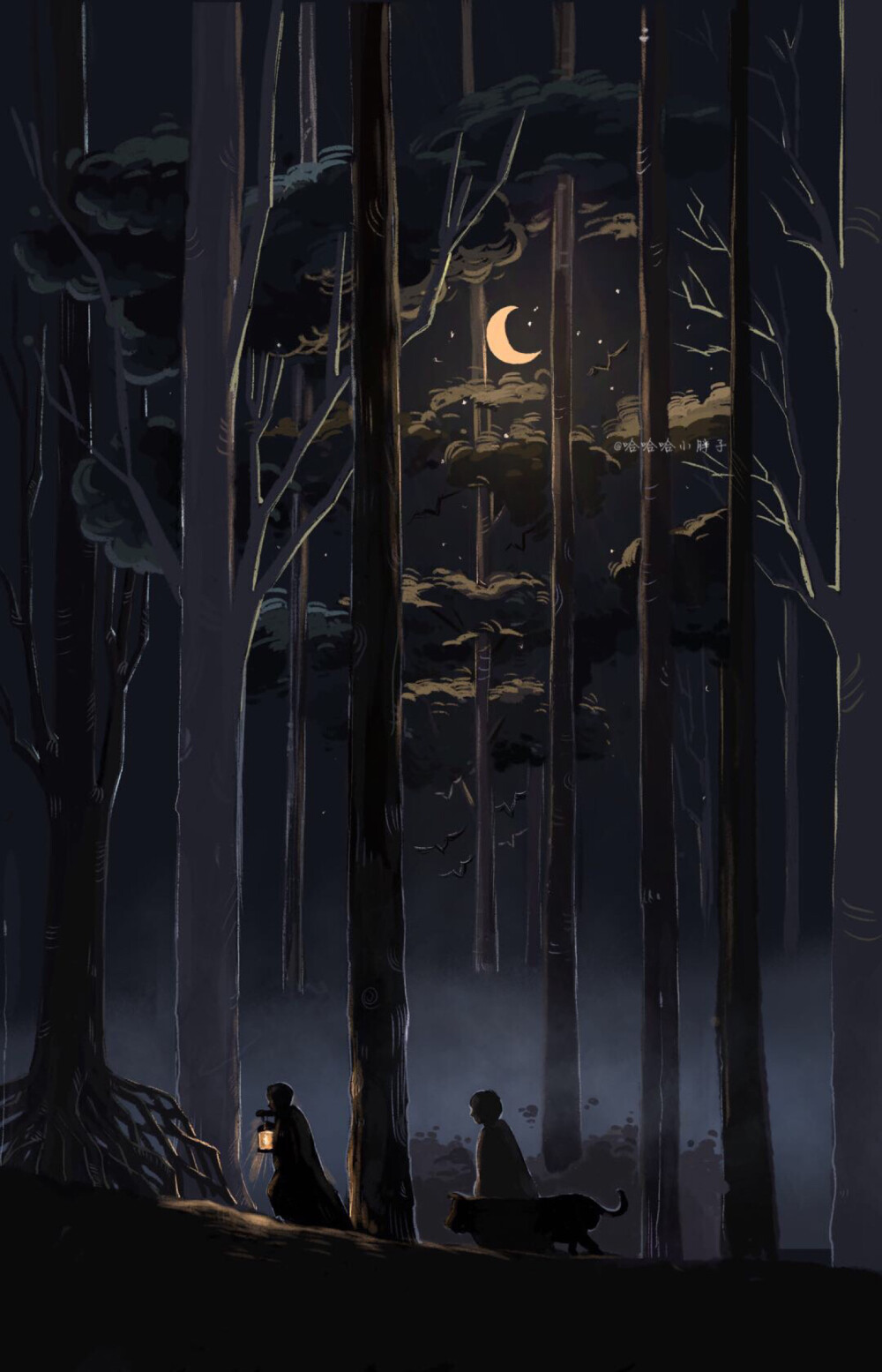 动漫壁纸- 哈利波特黑森林