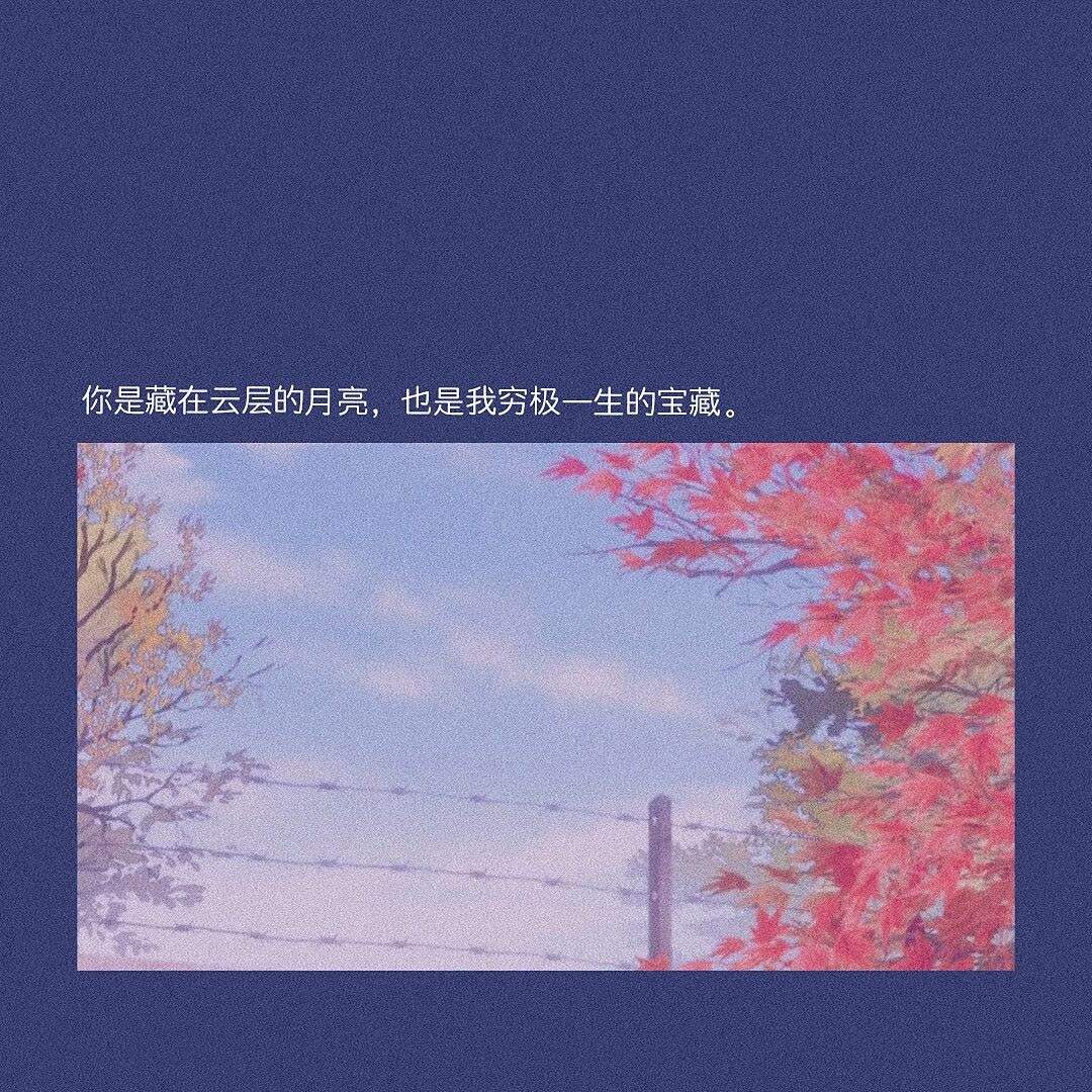 蓝色文字背景图 | 我喜欢的人,我就是要偏爱
