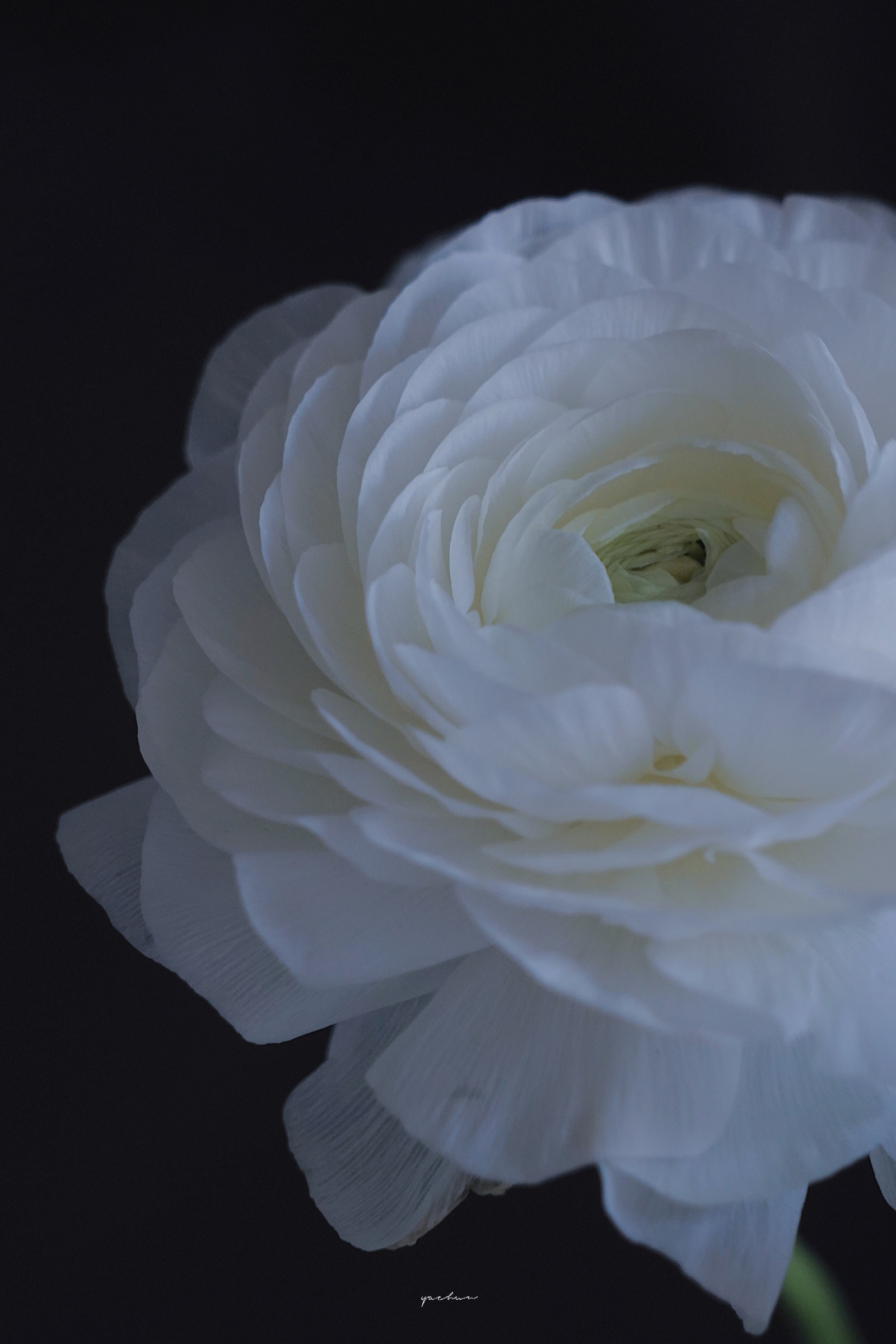 ins潮图朋友圈背景图/高质量/神仙背景