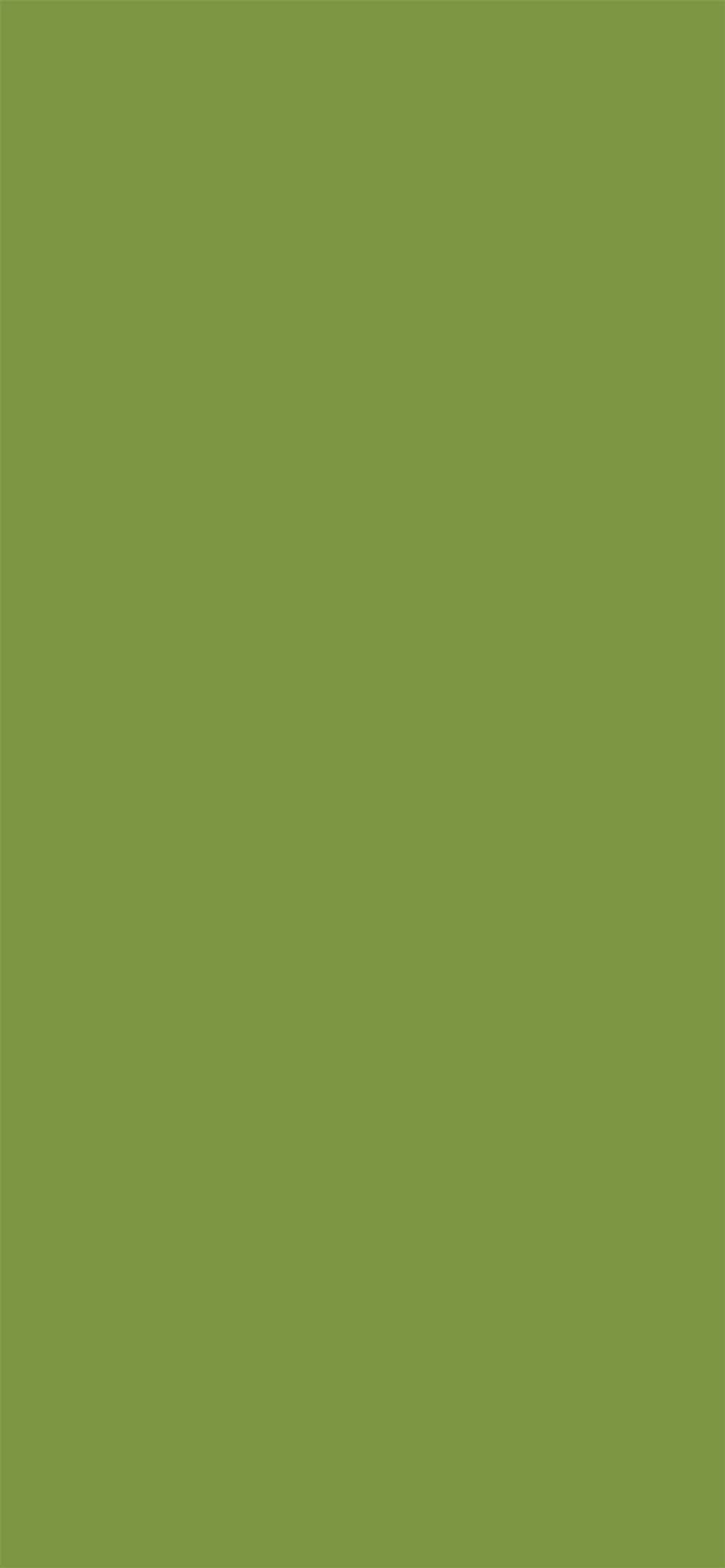 草绿色纯色手机壁纸图片