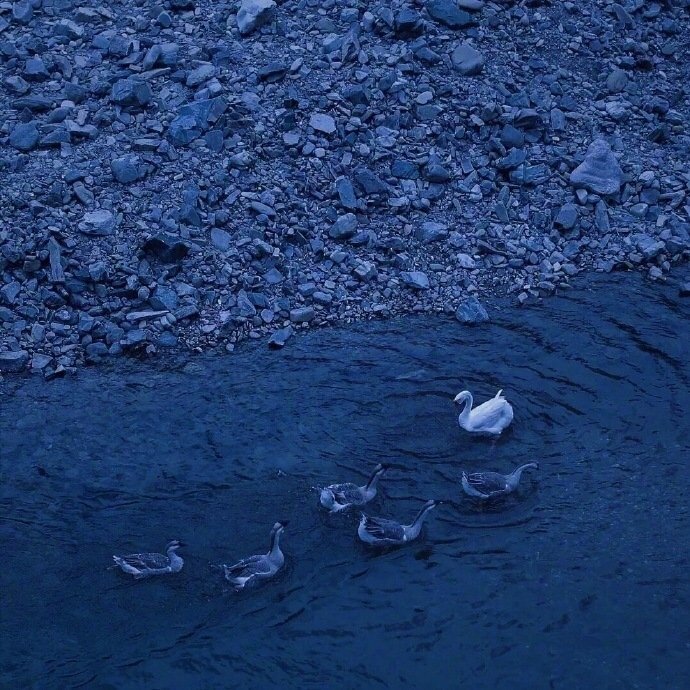 蓝色系背景图 忧郁蓝 唯美