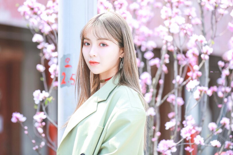 许杨玉琢08dreamheader·许杨玉琢 - 堆糖,美图壁纸