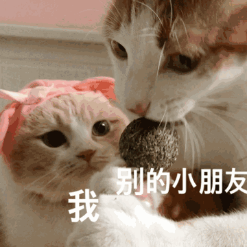 360_360gif 动态图 动图
