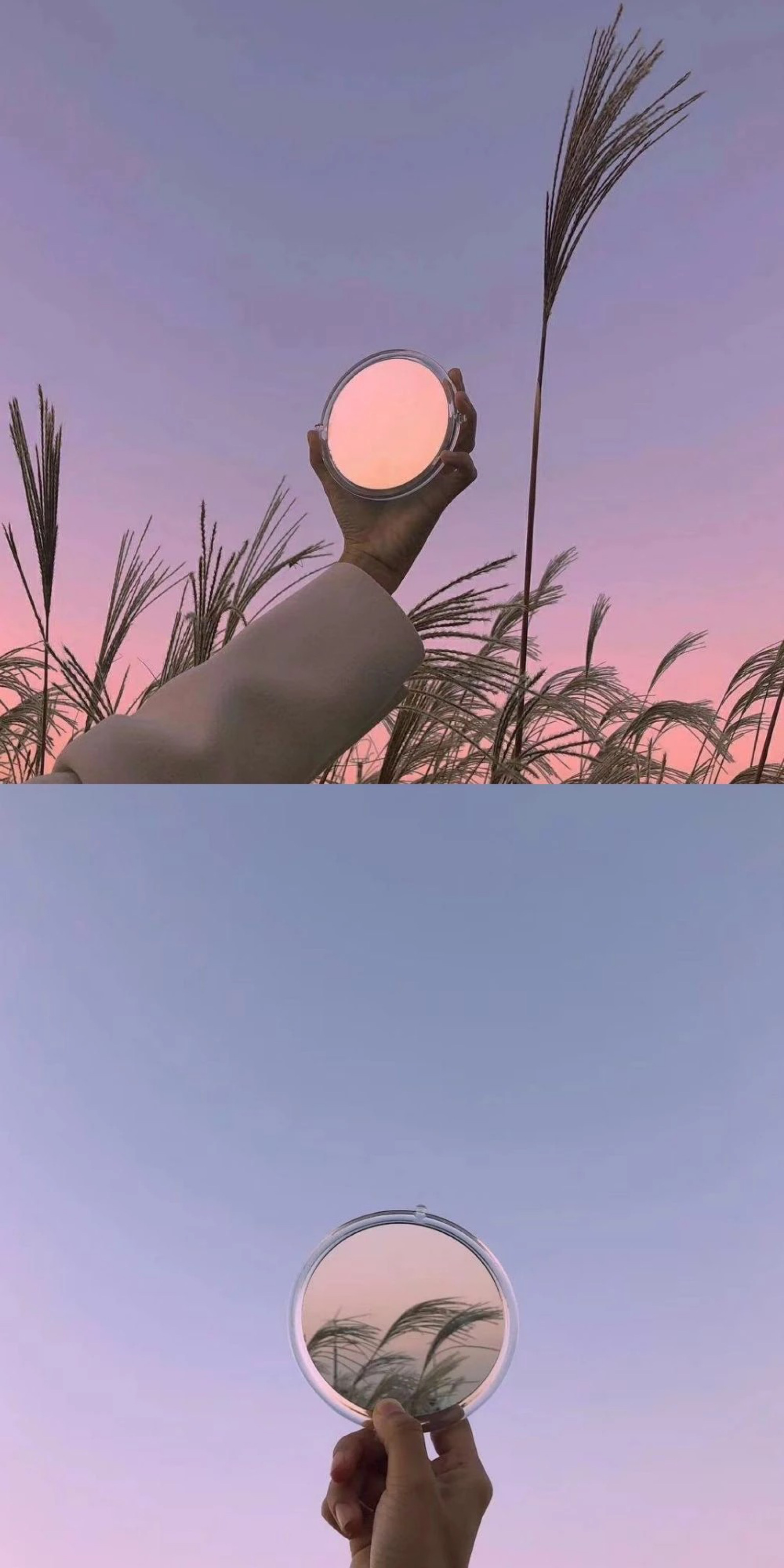 壁纸/背景图
