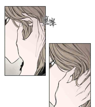 斯赫哈利波特