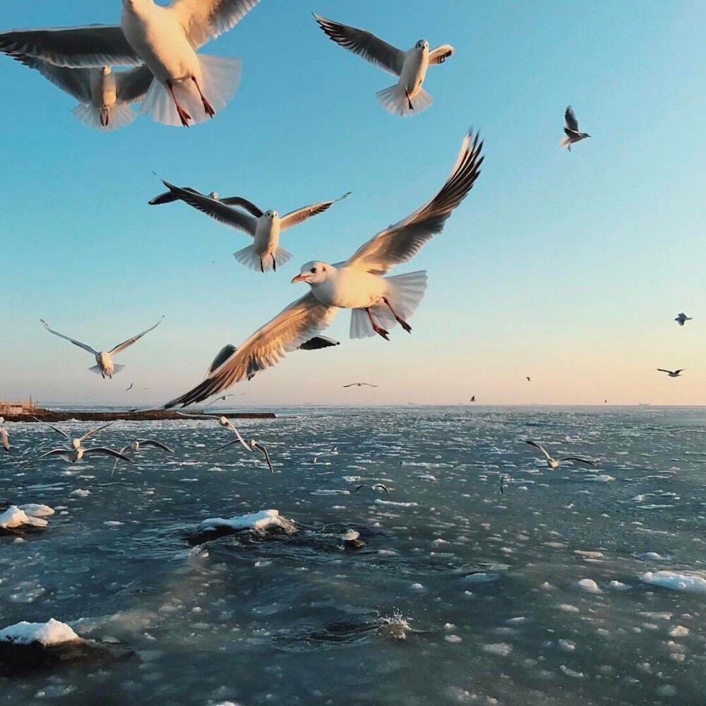 ins潮图朋友圈背景图/高质量/神仙背景