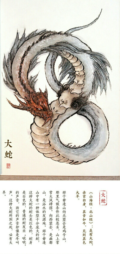 杉泽观山海插画图片