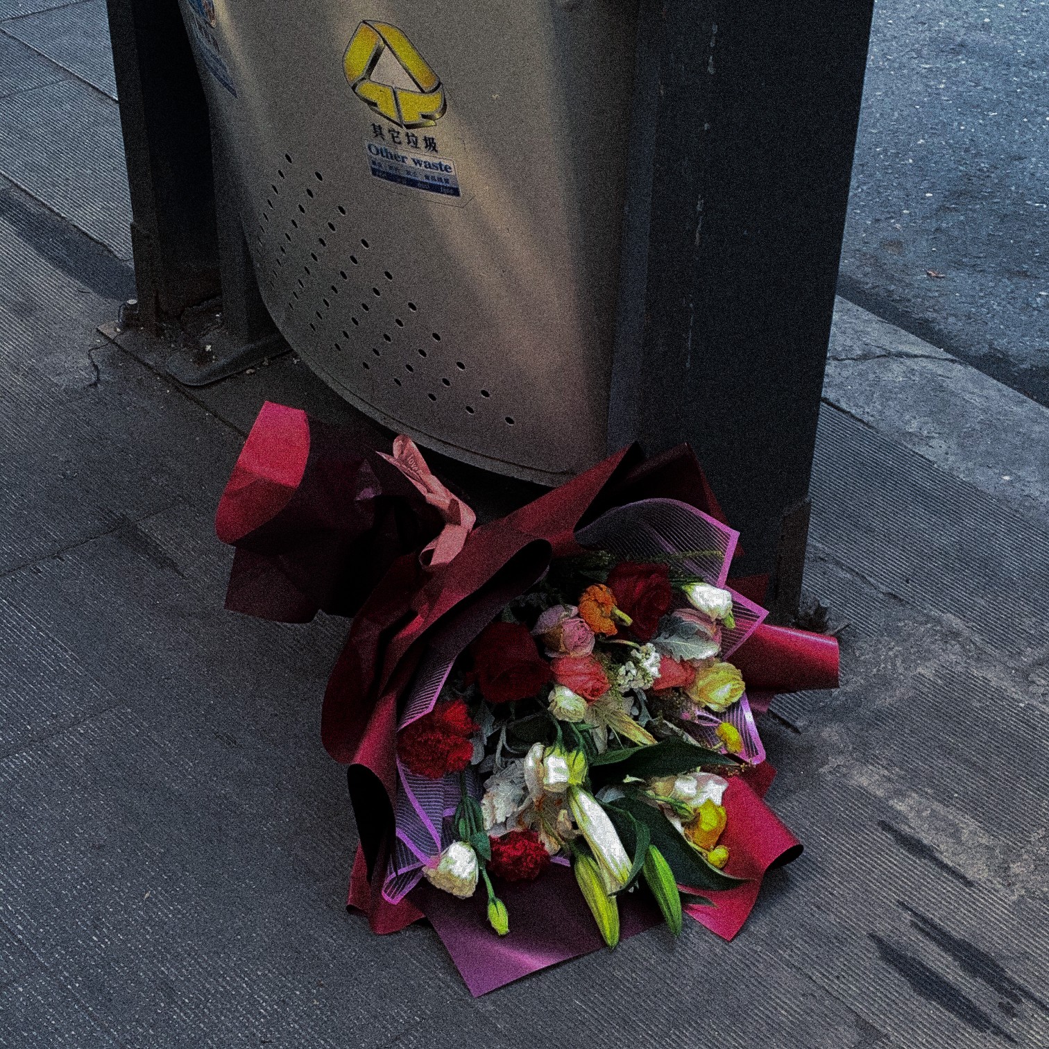 垃圾桶里的玫瑰花高清图片