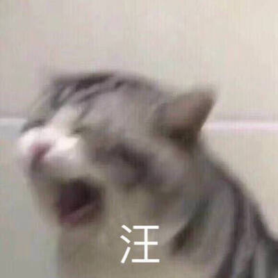 沙雕情头·闺头