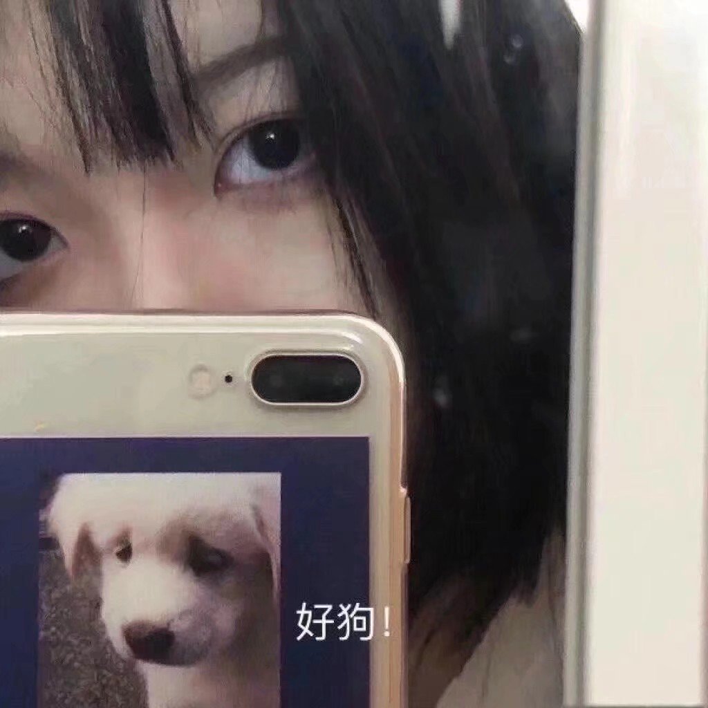 女生ins头像