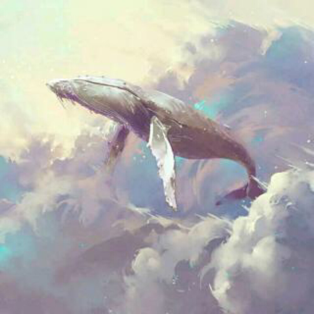 鲸落 微信图片
