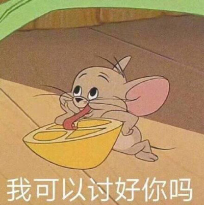 猫和老鼠表情包沙雕/搞笑/gif动图/微信表情