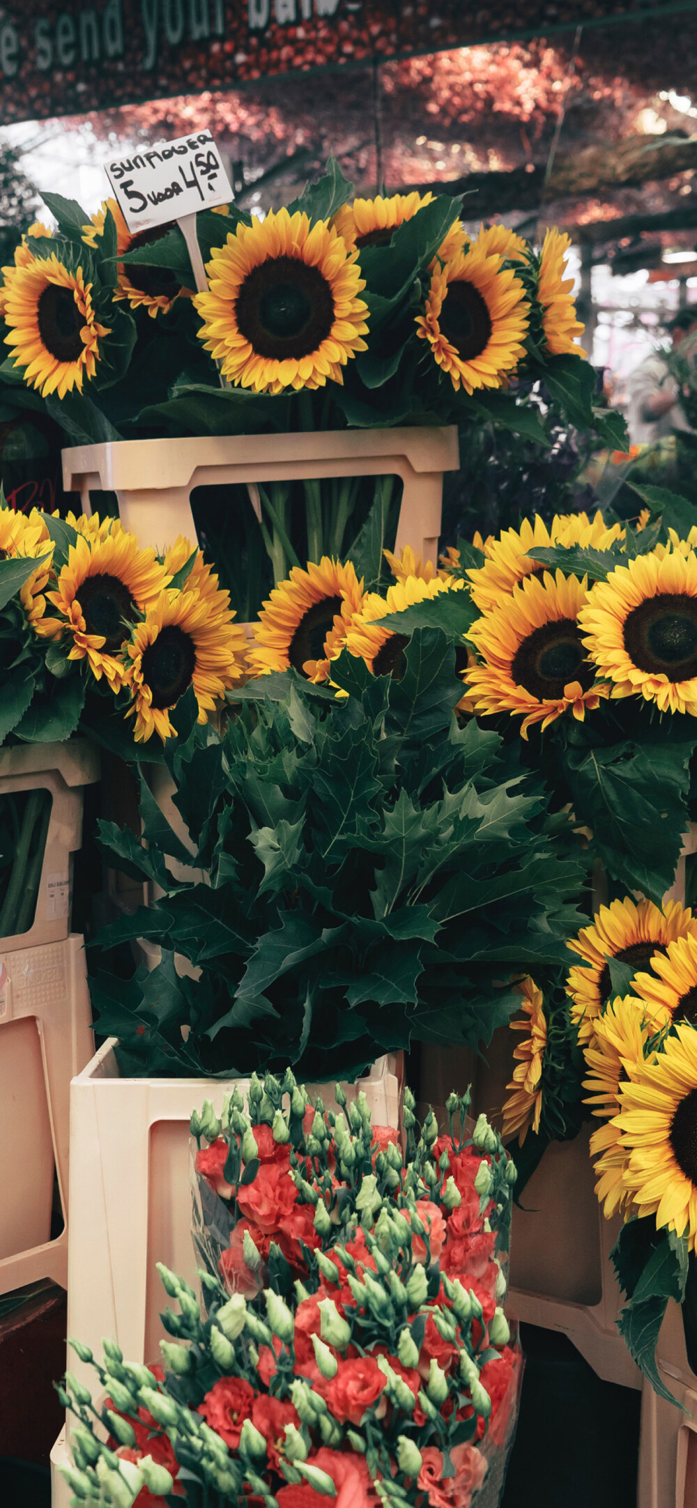 苹果11聊天背景图片锁屏壁纸