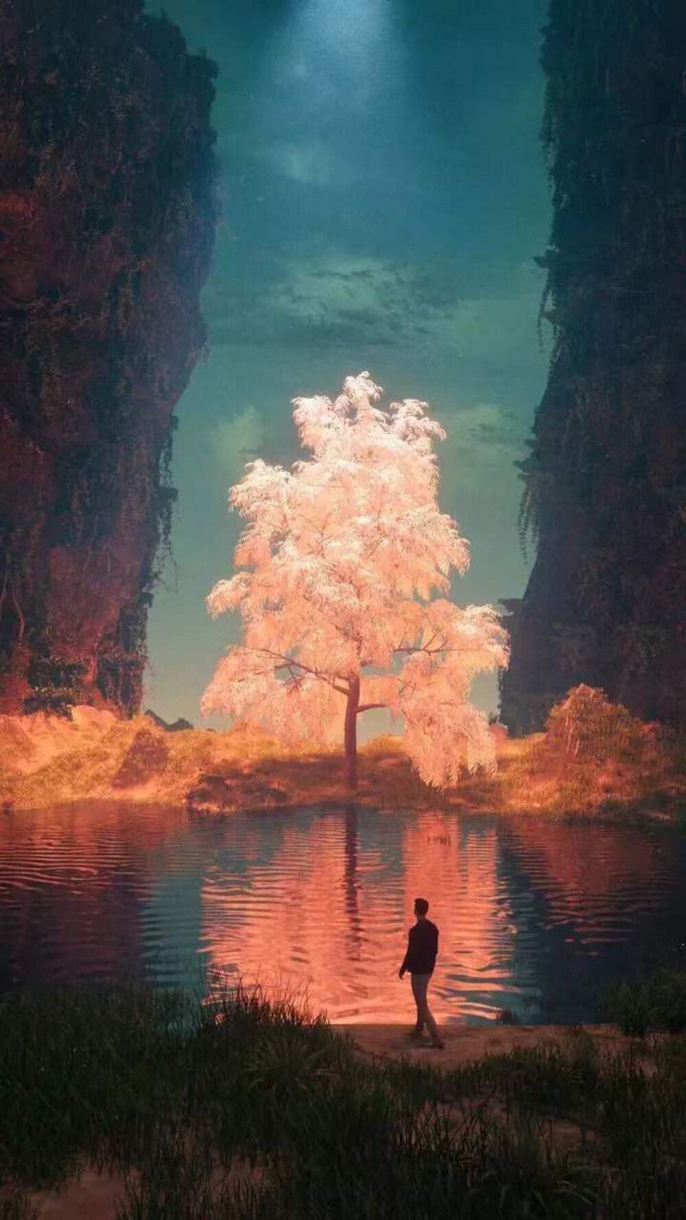 世人为了寻找幸福