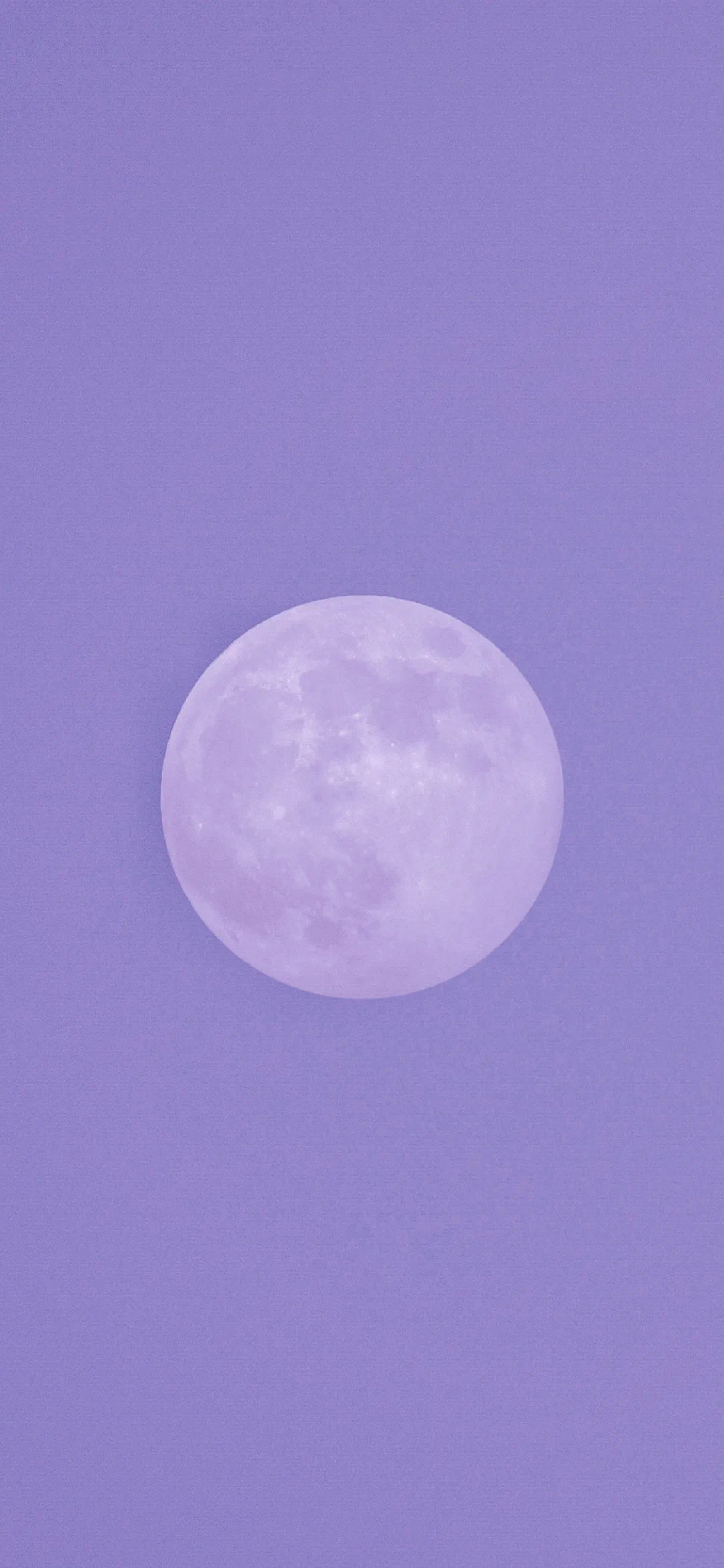 壁纸淡紫色星星月亮图片