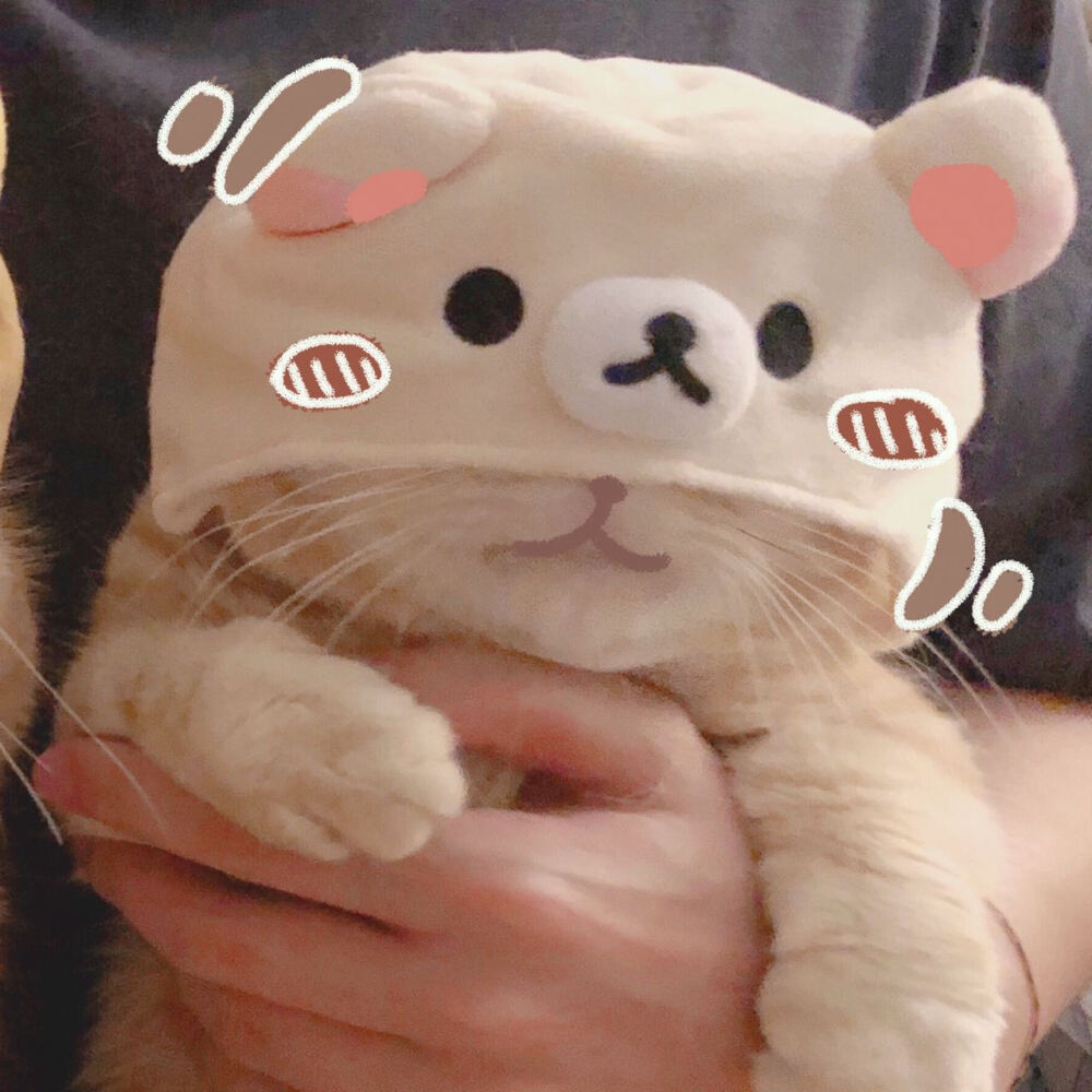 动物情头