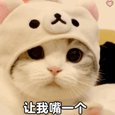 微信泡芙猫表情包图片
