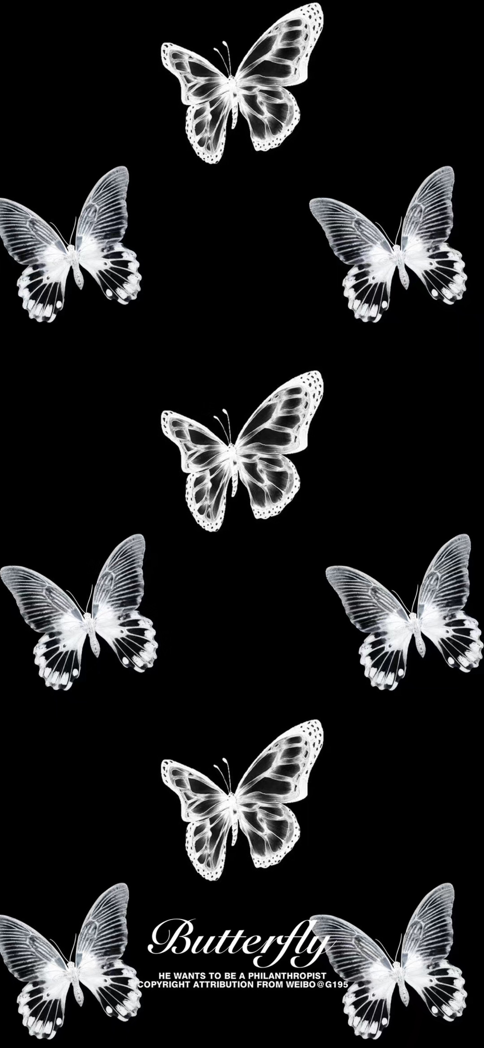 黑色屏保手机壁纸蝴蝶图片