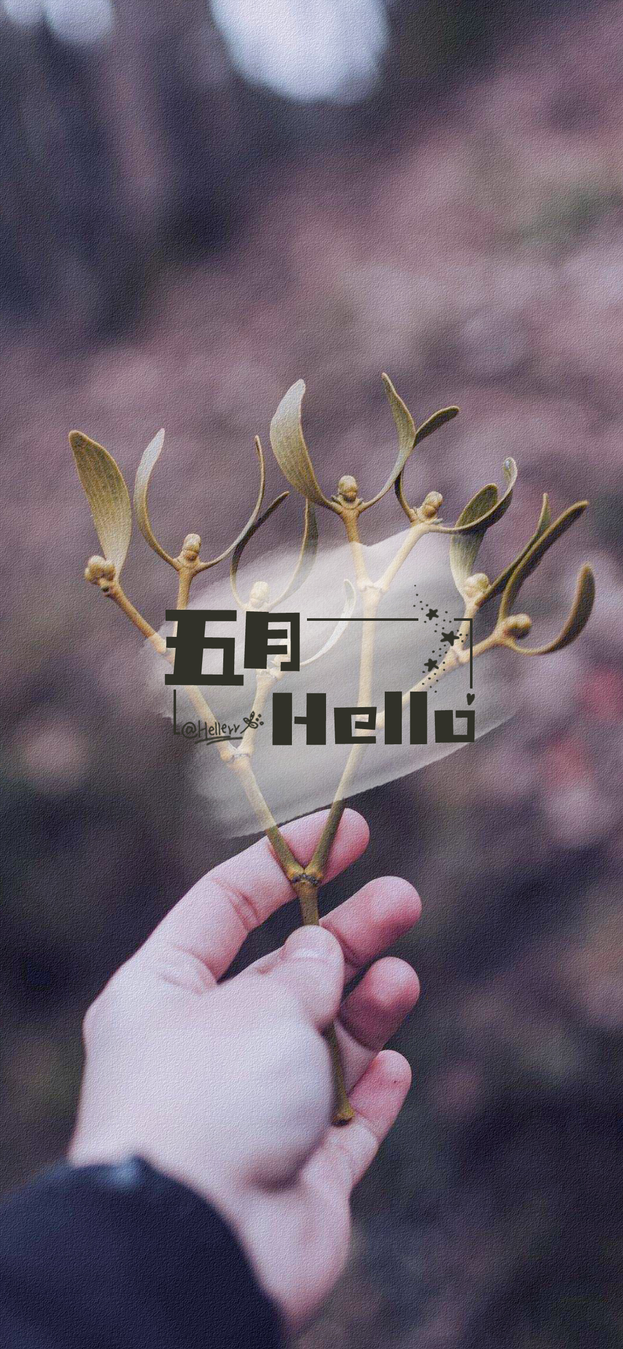 五月hello~[ 喜欢我的原创文字壁纸可以关注我新浪微博@hellerr ](底