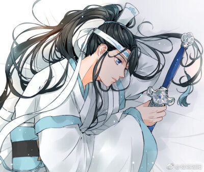 魔道祖师金凌蓝思追