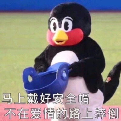 来哇,一起快乐的玩耍吧!表情包哈哈哈哈,我缺一个快乐的帅男人