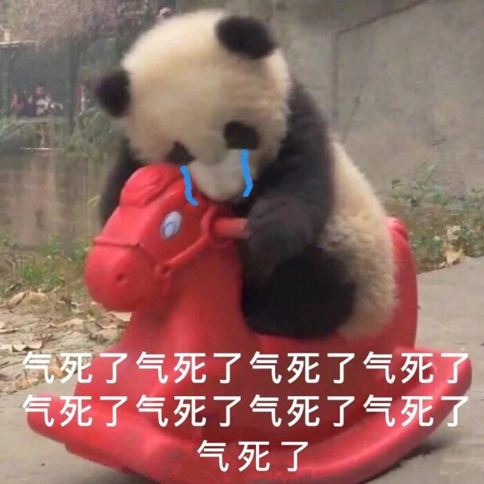 来哇,一起快乐的玩耍吧!表情包哈哈哈哈,我缺一个快乐的帅男人