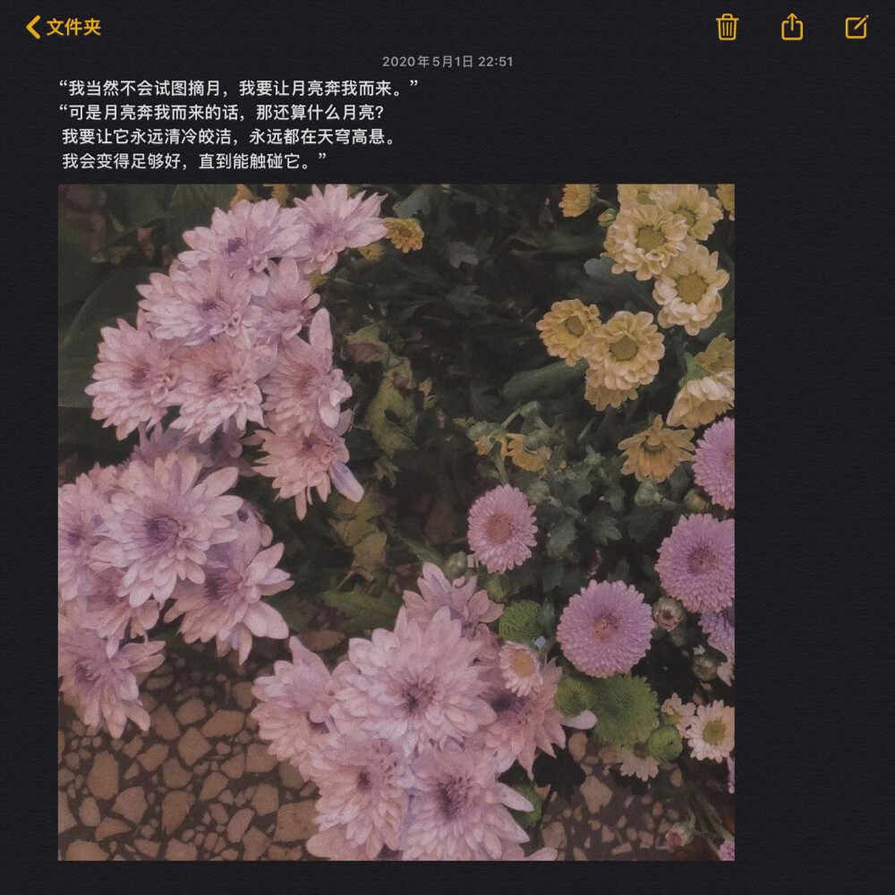 备忘录文字 /背景图/拿图扣1