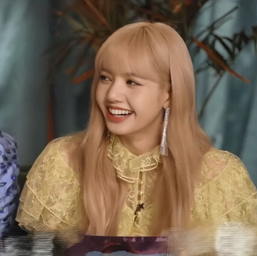 lisa.二改看简介