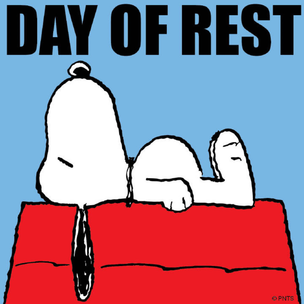 snoopy - 堆糖,美图壁纸兴趣社区